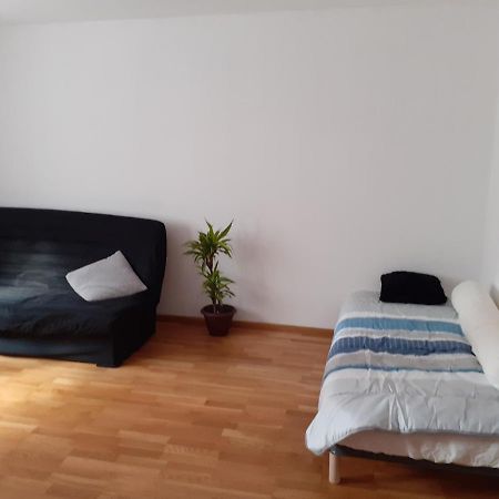 Residence Le Chateau Kaysersberg Екстер'єр фото